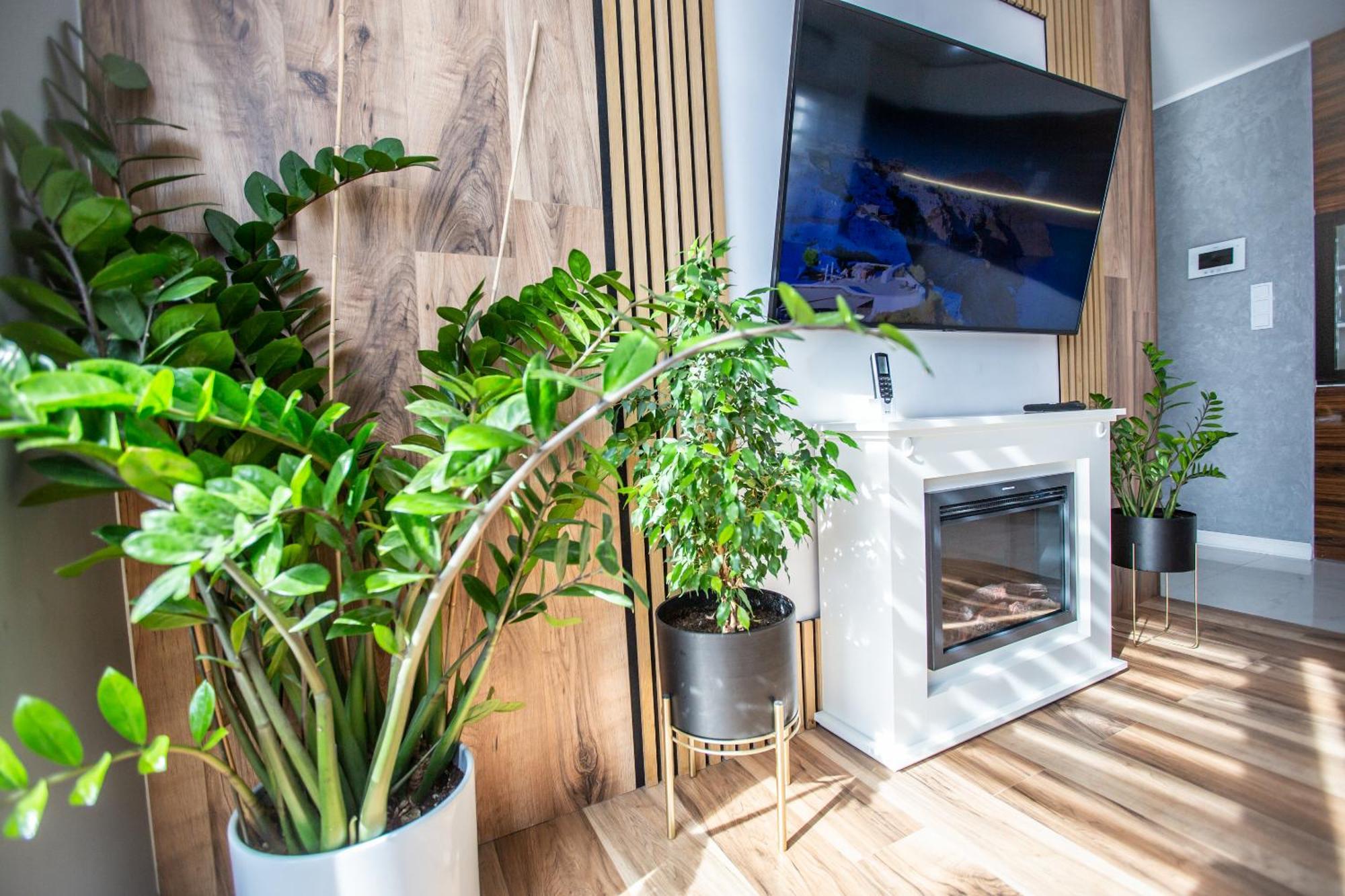 Wlodarska 4A Apartament Premium クラクフ エクステリア 写真